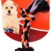 Mammoth Flossy Rope Bone 1 Mammoth Flossy Rope Bone -Garden Supplies Sales 2024 blob 80775.1614129208