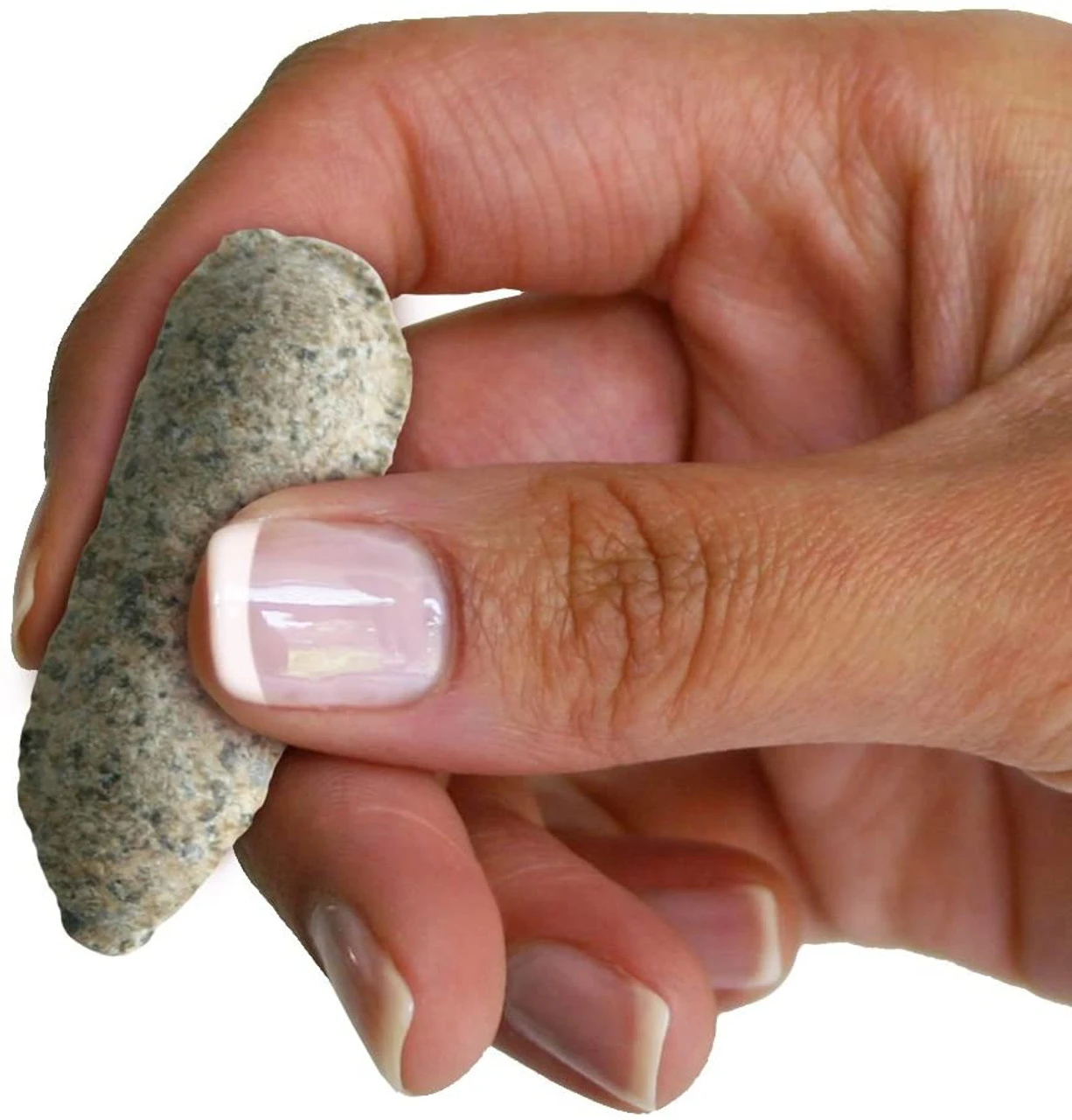 Jobe's Organics Rose & Flower Fertilizer Spikes, 10 PK 5 Jobe's Organics Rose & Flower Fertilizer Spikes, 10 PK - Image 3