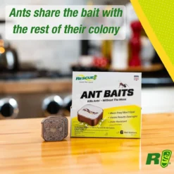 Rescue Ant Baits -Garden Supplies Sales 2024 blob 83573.1616778240