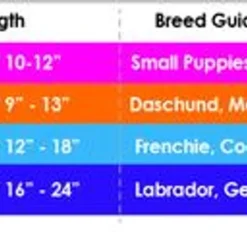 Doog Neon High Visibility Beethoven Collar -Garden Supplies Sales 2024 blob 84342.1631039903