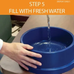 K&H Pet Products Coolin' Water Bowl, 32oz -Garden Supplies Sales 2024 blob 85767.1618425943