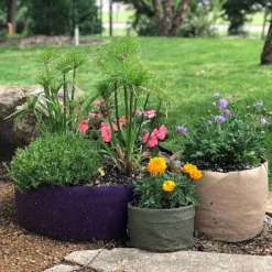 Smart Pot Tan Fabric Planter, 5 Gallon -Garden Supplies Sales 2024 blob 86147.1680311643