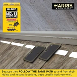 Harris Pre-Baited Mouse Glue Traps, Non-Toxic And Fully Disposable, 4pk -Garden Supplies Sales 2024 blob 87328.1616717452