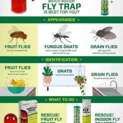 Rescue Fruit Fly Trap Attractant Refill -Garden Supplies Sales 2024 blob 92128.1616777849
