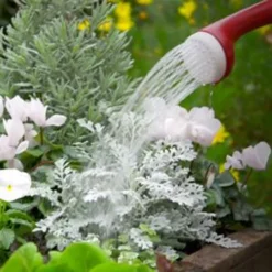 Miracle-Gro Water Soluble All Purpose Plant Food, 8 Oz 10 Miracle-Gro Water Soluble All Purpose Plant Food, 8 Oz -Garden Supplies Sales 2024 blob 92426.1620856861