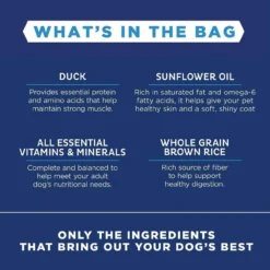 Natural Balance L.I.D. Duck And Brown Rice, 26lb -Garden Supplies Sales 2024 blob 92702.1622152982