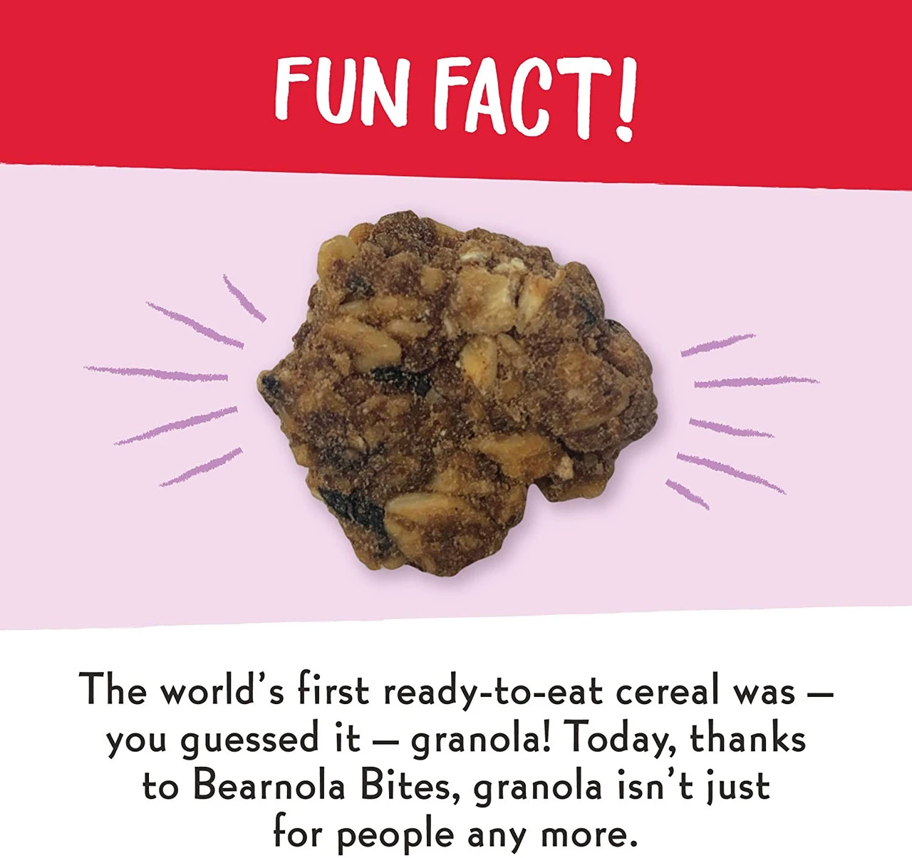 Charlee Bear Bearnola Bites Crunchy Clusters, Blueberry Pie 6 Charlee Bear Bearnola Bites Crunchy Clusters, Blueberry Pie - Image 4