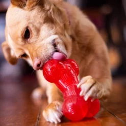 Ethical Pet Strong Rubber Bone -Garden Supplies Sales 2024 blob 93762.1614280883