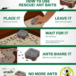 Rescue Ant Baits -Garden Supplies Sales 2024 blob 94690.1616778241