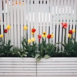 Down To Earth Organic Vegetable Garden Fertilizer 4-4-4 14 Down To Earth Organic Vegetable Garden Fertilizer 4-4-4 -Garden Supplies Sales 2024 blob 96114.1614297720