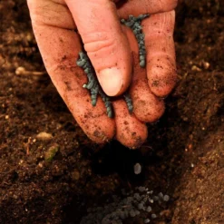 Jobe’s Organics Vegetable And Tomato Fertilizer, 4 Lb -Garden Supplies Sales 2024 blob 97772.1622066983