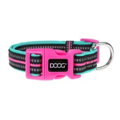 Doog High Visibility Rin Tin Tin Collar