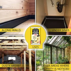 Harris GB-5 Mouse & Rat Trap -Garden Supplies Sales 2024 blob 98444.1616717857