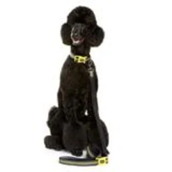 Doog Neon High Visibility Bolt Collar -Garden Supplies Sales 2024 blob 98522.1630708934