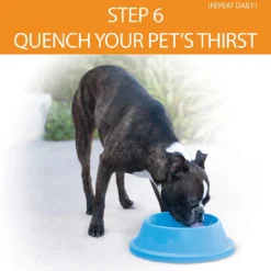 K&H Pet Products Coolin' Water Bowl, 32oz -Garden Supplies Sales 2024 blob 99253.1618425943