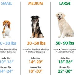 Coastal Titan Extra Links For Dog Prong Training Collars, 3PC 9 Coastal Titan Extra Links For Dog Prong Training Collars, 3PC -Garden Supplies Sales 2024 breedchart2019 65658.1631742156