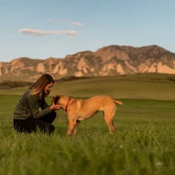 Charlotte's Web Dog CBD Calming Chews 10 Charlotte's Web Dog CBD Calming Chews -Garden Supplies Sales 2024 calmlifestyle 2 53136.1628113907
