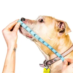 Comfy Cone, Black -Garden Supplies Sales 2024 comfy cone measure size 1 32394.1614189847