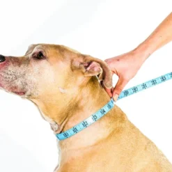 Comfy Cone, Tan -Garden Supplies Sales 2024 comfy cone measure size 2 33268.1614190033