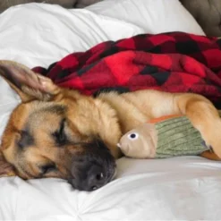 Tall Tails Plush Fish Squeaker Toy, 12in -Garden Supplies Sales 2024 cooper 1 2 04050.1665862407