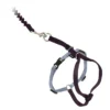 PetSafe Come With Me Kitty Cat Harness & Bungee Leash, Black -Garden Supplies Sales 2024 cwmk blk slvr a 2 85246.1648688561