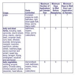 Captain Jack’s DeadBug Brew Concentrate, 16oz -Garden Supplies Sales 2024 deadbug six 79059.1649192406