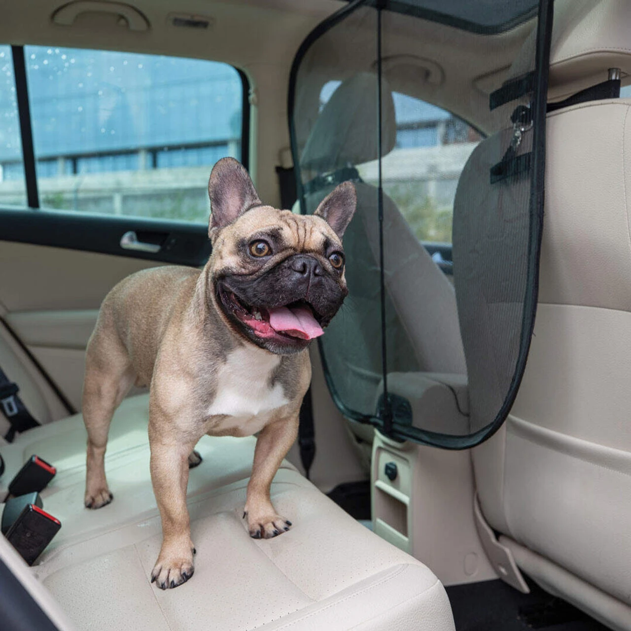 PetSafe Happy Ride® Dog Barrier 4 PetSafe Happy Ride® Dog Barrier - Image 2