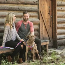 Coastal Wolfgang DayDream Dog Leash, 1" X 6' -Garden Supplies Sales 2024 drhp6ocivtoo8pe4sjh0 60129.1675032351