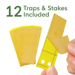 BioCare Gnat Stix, 12pc 10 BioCare Gnat Stix, 12pc -Garden Supplies Sales 2024 eb7300 biocare gnatstixtrap 05 600x600 18665.1633642974