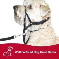 Coastal Walk 'n Train! Dog Head Halter -Garden Supplies Sales 2024 ejqdjrlewavio91dcics 41376.1630004977