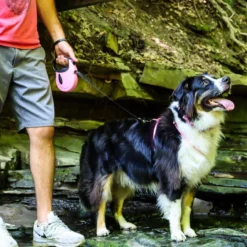 Coastal Power Walker Dog Retractable Leash 16ft, XSmall Up To 16lbs -Garden Supplies Sales 2024 em3szkaajgrktaxoiydo 33154.1630197911