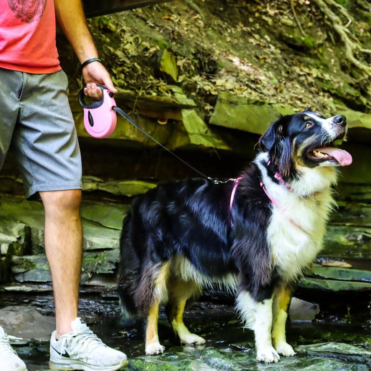 Coastal Power Walker Dog Retractable Leash 16ft, Medium Up To 64lbs 6 Coastal Power Walker Dog Retractable Leash 16ft, Medium Up To 64lbs - Image 4