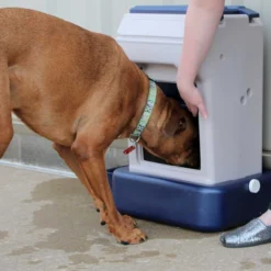 Coastal Bergan K9 Cafe Food Storage -Garden Supplies Sales 2024 fjfwbhvaoobwwm4k1k5p 10941.1629063335