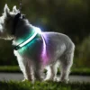 Noxgear Lighthound Harness -Garden Supplies Sales 2024 gallery lighthound 04@2x 51795.1668210240