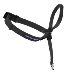 PetSafe Gentle Leader® Headcollar, No-Pull Dog Collar, Black