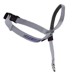 PetSafe Gentle Leader® Headcollar, No-Pull Dog Collar, Silver
