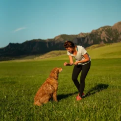 Charlotte's Web Dog CBD Hip & Joint Chews -Garden Supplies Sales 2024 h jchews life2 04040.1628113736