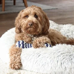 Tall Tails Braided Bone Navy, 9in -Garden Supplies Sales 2024 hellorubydoodle 2 92695.1665880827