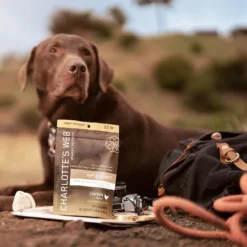 Charlotte's Web Dog CBD Hip & Joint Chews -Garden Supplies Sales 2024 hip joint chews l1 27080.1628113735