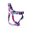 Coastal Wolfgang DayDream Dog Harness -Garden Supplies Sales 2024 hjbwxejuwvdy4sb0gprh 52570.1675024237