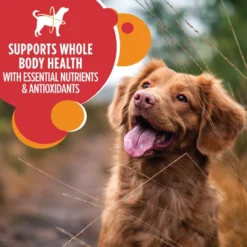 Iams Adult Minichunks With Lamb And Rice, 30lb 11 Iams Adult Minichunks With Lamb And Rice, 30lb -Garden Supplies Sales 2024 iams dry dog healthy adult lamb rice 15lb claim 82284.1628452152