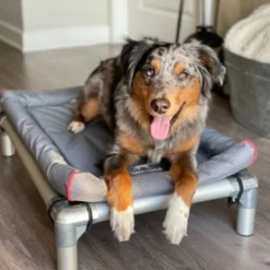 Tall Tails Elevated Mesh Cot Grey, Medium 8 Tall Tails Elevated Mesh Cot Grey, Medium -Garden Supplies Sales 2024 img 4637 1 43621.1665885539