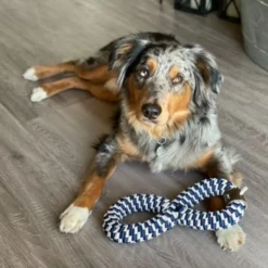 Tall Tails Braided Infinity Ring Navy, 11in 7 Tall Tails Braided Infinity Ring Navy, 11in -Garden Supplies Sales 2024 img 4683 22748.1665882571