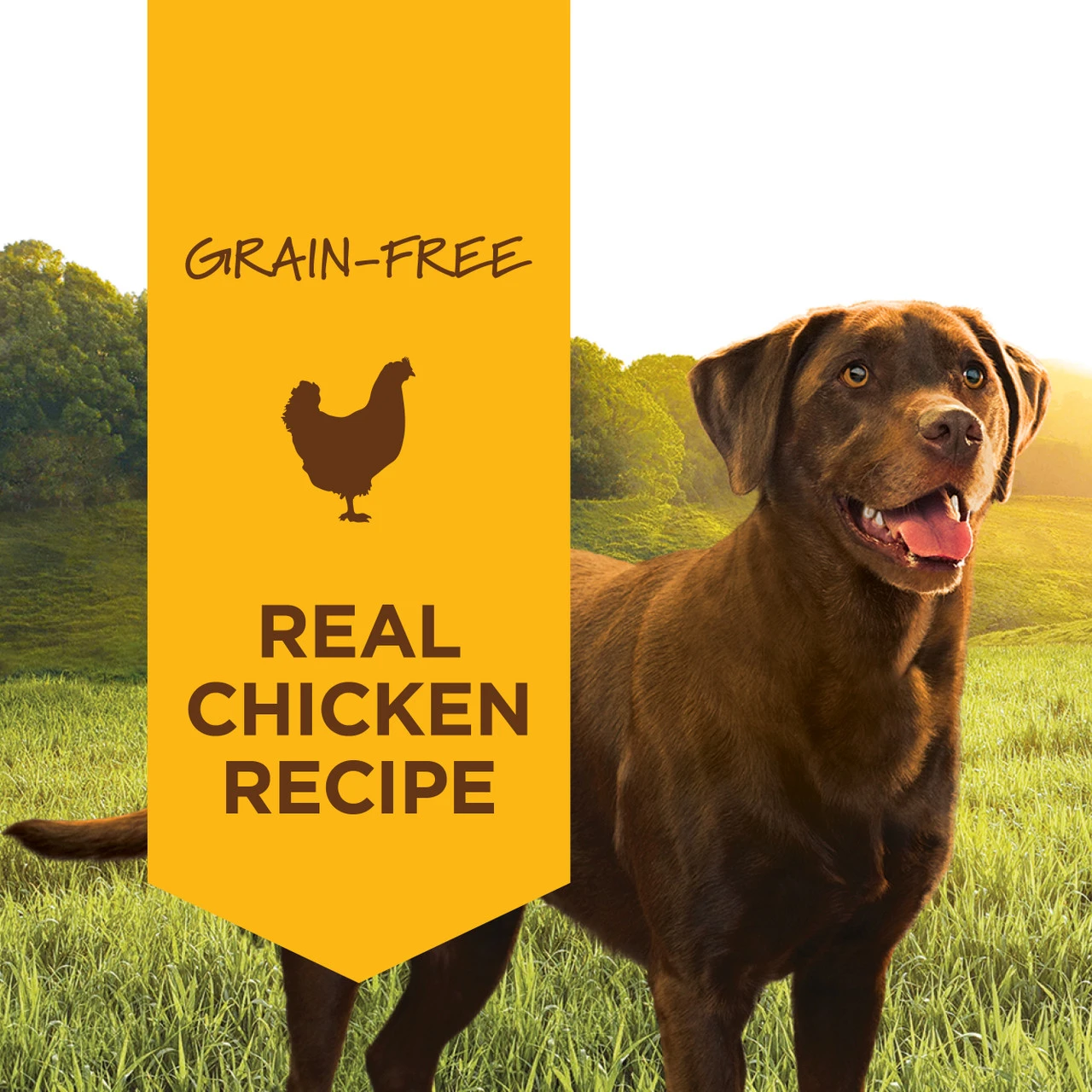 Nature's Variety Instinct Grain Free Chicken, 13.2oz 4 Nature's Variety Instinct Grain Free Chicken, 13.2oz - Image 2