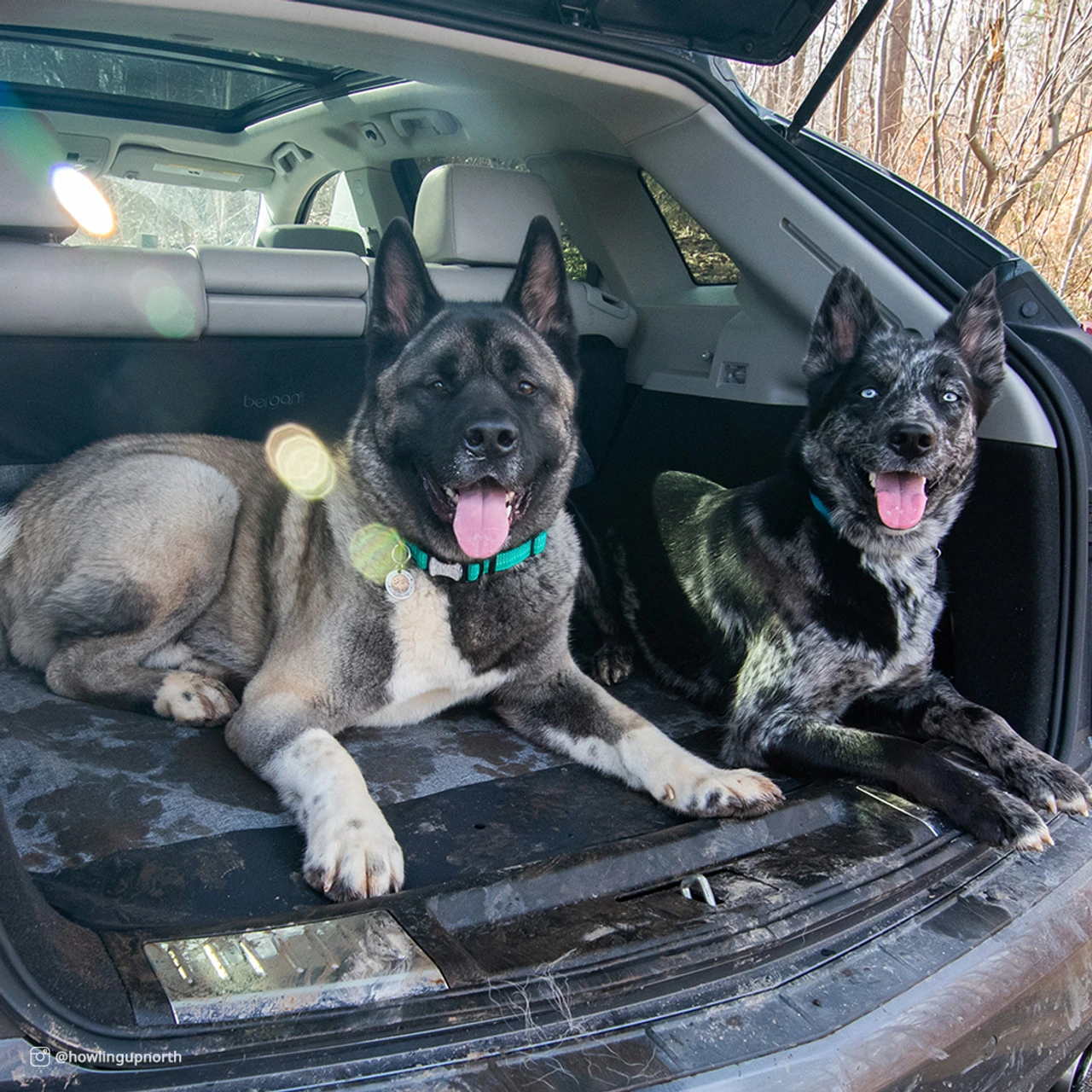 Coastal Bergan Auto Cargo Floor Cover 4 Coastal Bergan Auto Cargo Floor Cover - Image 2
