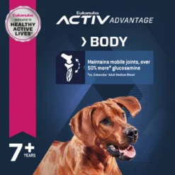 Eukanuba Large Breed Senior, 30lb -Garden Supplies Sales 2024 k3nrqntseroavjbx2exv 21512.1613870467