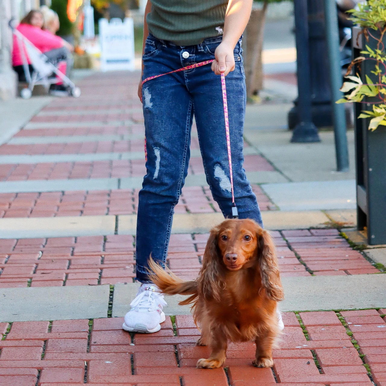 Li'l Pals Adjustable 6ft Leash With EZ Snap 7 Li'l Pals Adjustable 6ft Leash With EZ Snap - Image 5