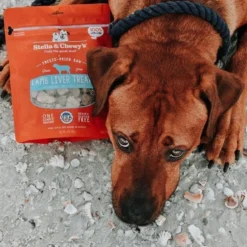 Stella And Chewy's Freeze-Dried Lamb Liver Treats, 3oz 9 Stella And Chewy's Freeze-Dried Lamb Liver Treats, 3oz -Garden Supplies Sales 2024 lamb liver 2 1080x0 c default 68354.1613867041