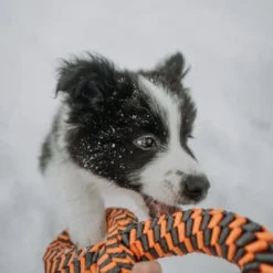 Tall Tails Braided Infinity Ring Orange, 11in 7 Tall Tails Braided Infinity Ring Orange, 11in -Garden Supplies Sales 2024 lifewithcollies 2 90472.1665882893
