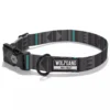 Coastal Wolfgang NightOwl Adjustable Dog Collar -Garden Supplies Sales 2024 lqu9xwbs7us3huhwel55 93689.1674942603